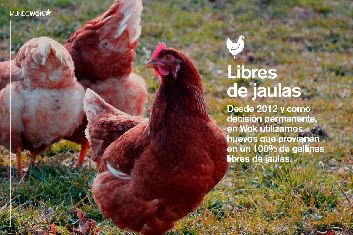 mundoWok_GALLINAS_oct25 (1)
